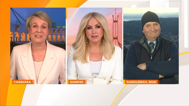 Tanya Plibersek joined Monique Wright and Barnaby Joyce for Hot Topics on Monday. 