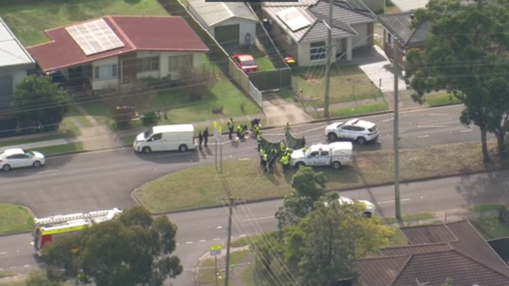 A man has been killed in an alleged hit-and-run crash in Sydney.