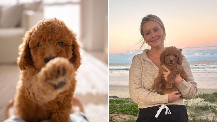 Tahlia Aubusson's new pet puppy has died in a 'freak accident'.